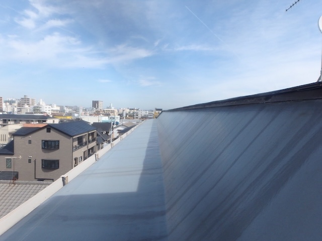 変色が見える屋根面