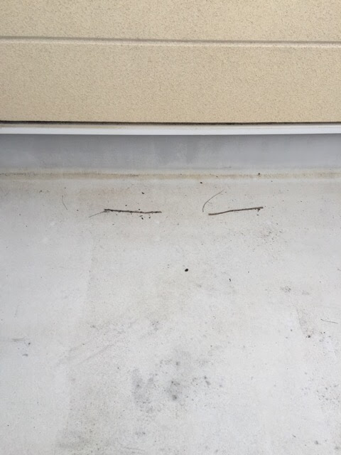 【八幡市】ベランダの黒ずみ解決！トップコート再塗装で雨漏り予防と費用削減