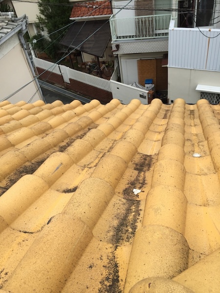 【亀岡市】漆喰工事の後悔をゼロに！悪質な「塗り増し」を見抜く棟取り直し提案で雨漏りを根本解決